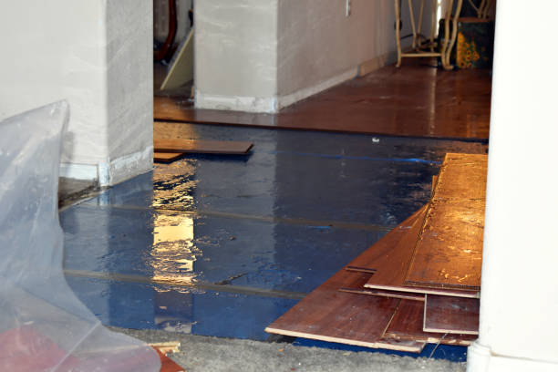 Professional Water Extraction technician working in Ettrick, WI